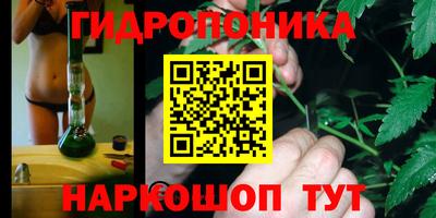 спиды Рыбинск