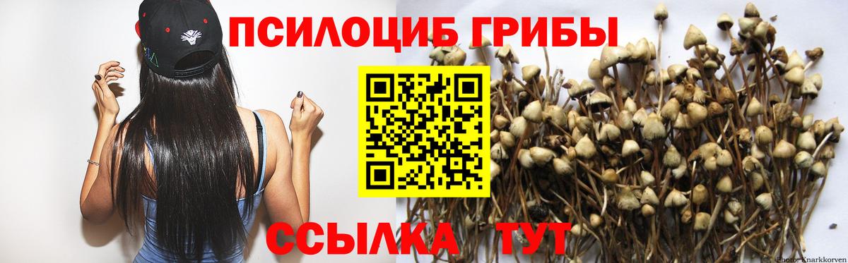 Псилоцибиновые грибы Magic Shrooms Приморско-Ахтарск