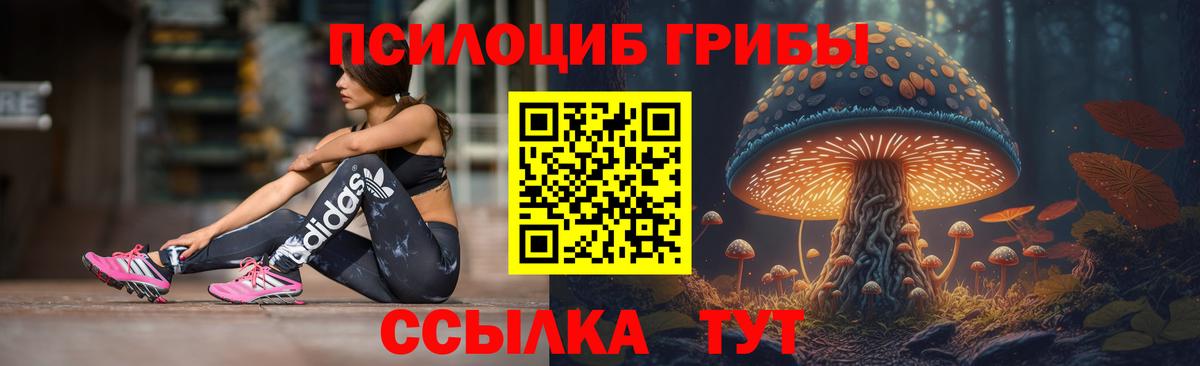 Приморско-Ахтарск  Галлюциногенные грибы MAGIC MUSHROOMS  купить наркоту  Вход с VPN 